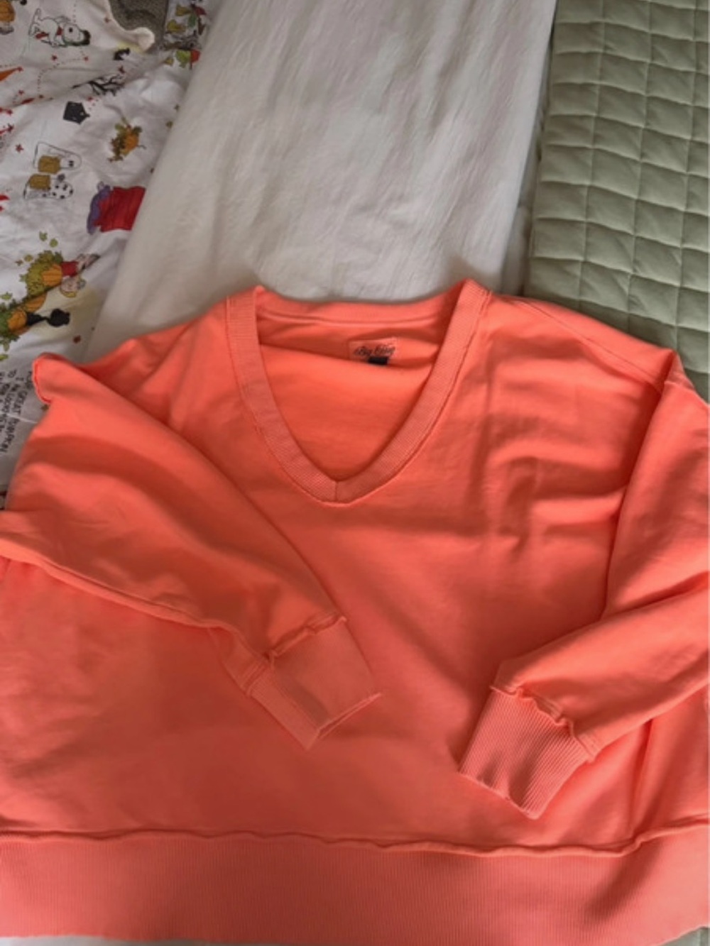 American Eagle Outfitters Coral V-Neck Sweatshirt